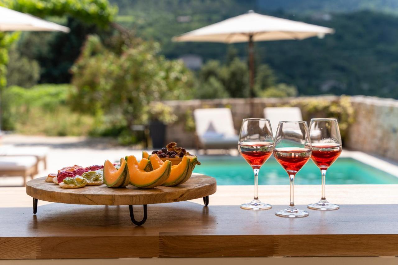 Villa Du Passeron Chambonas 外观 照片